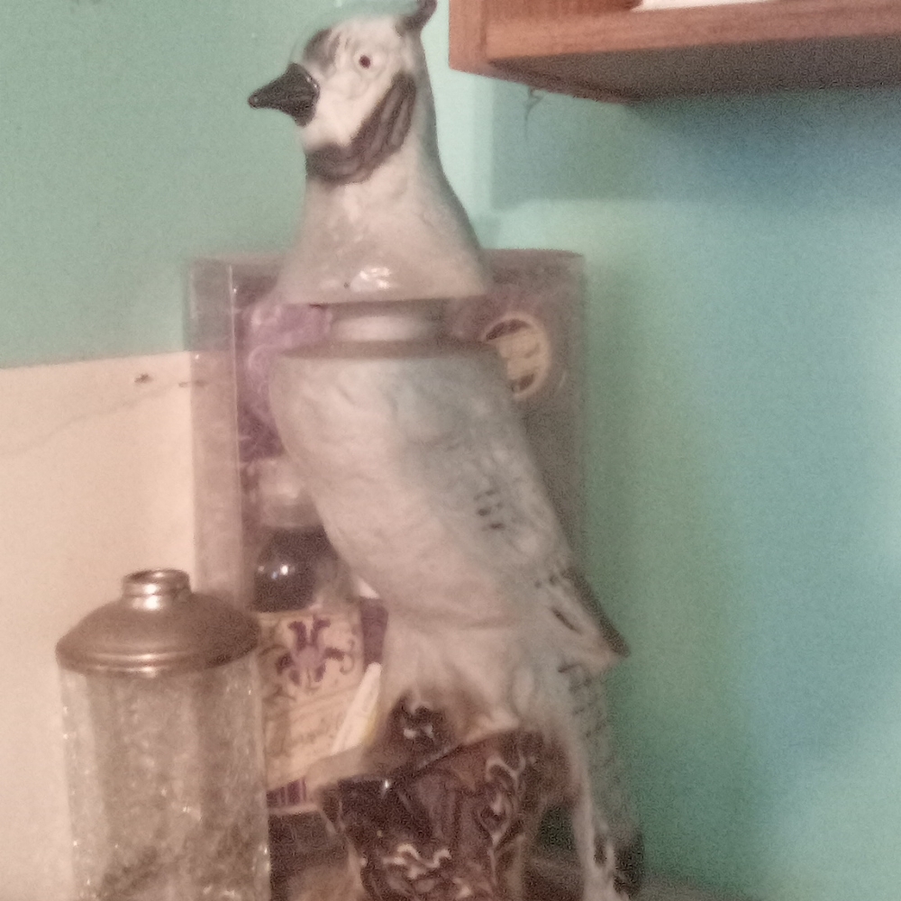 Beam bird bottle